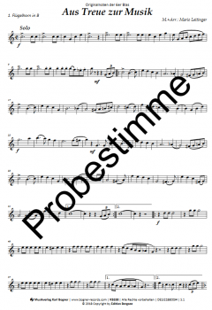 Preview: Aus Treue zur Musik (Marsch)