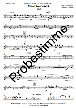 Im Bräustüberl (Polka)