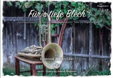 Für`s  tiefe Blech von Dominik Meißnitzer