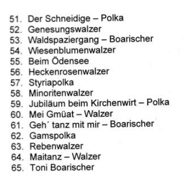 Hochfellner Musi Heft 6