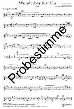 Wunderbar bist - Du Ernst Mosch u.s. Original Egerländer Musikanten